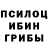 Псилоцибиновые грибы Psilocybine cubensis Finally  Ass